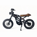 Barock Ebike
